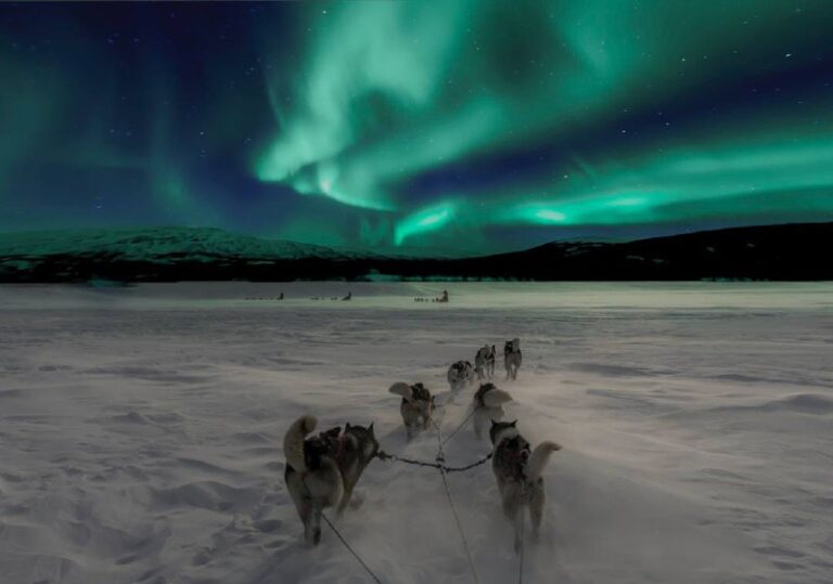 5873192268196416313 120