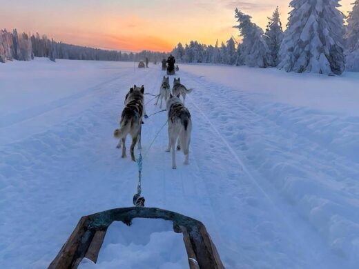 شتاء موسكو مع مشعل بن ماجد