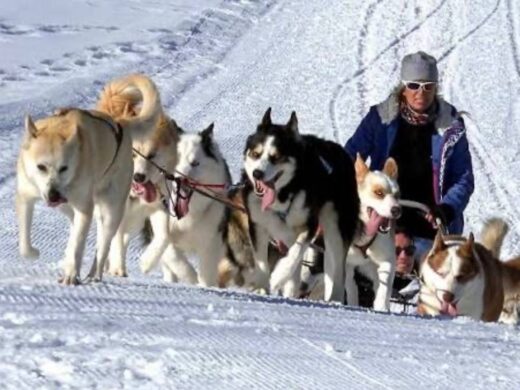 %d8%a7%d9%84%d9%87%d8%a7%d8%b3%d9%83%d9%8a