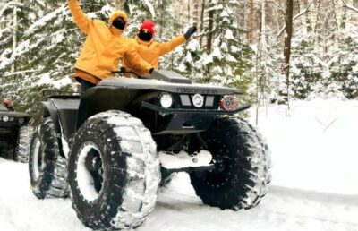 البقي العملاق